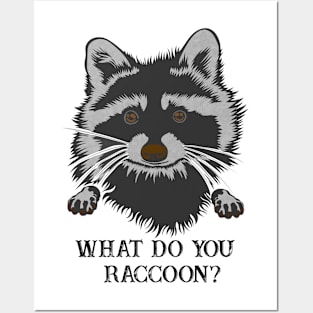 What Do You Raccoon? Posters and Art